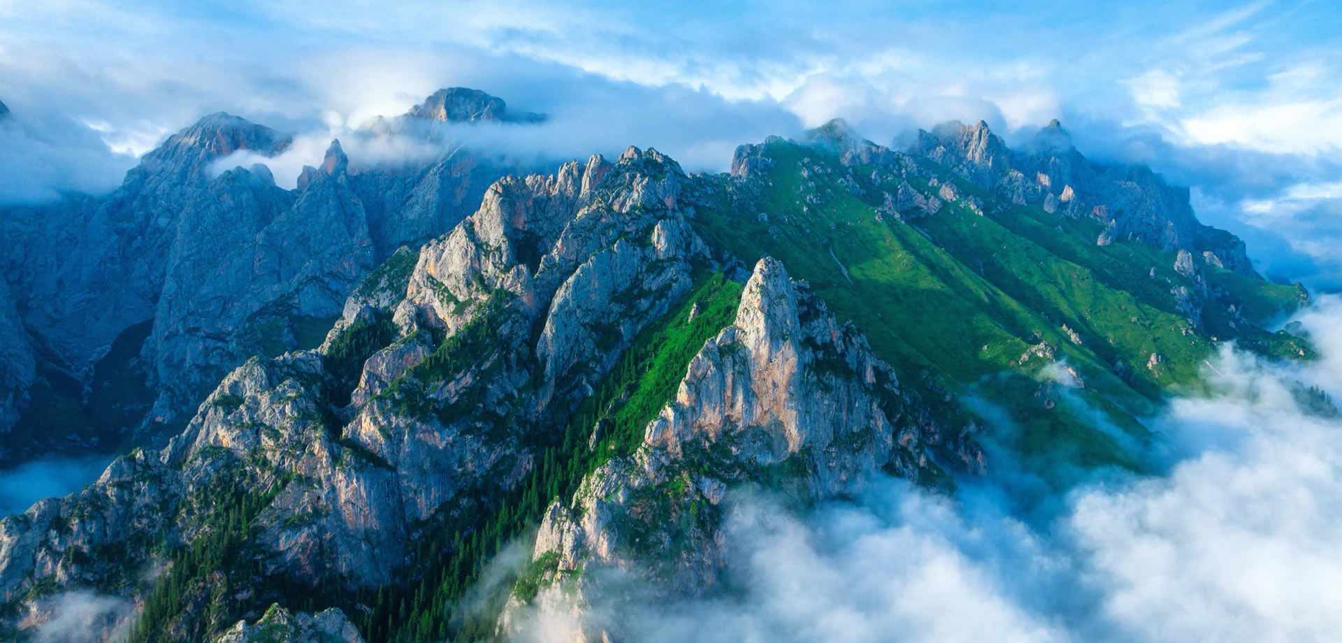 卓境国际旅行社