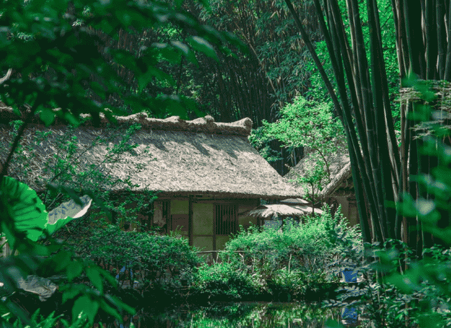 青海湖生态·青少年科考实践营